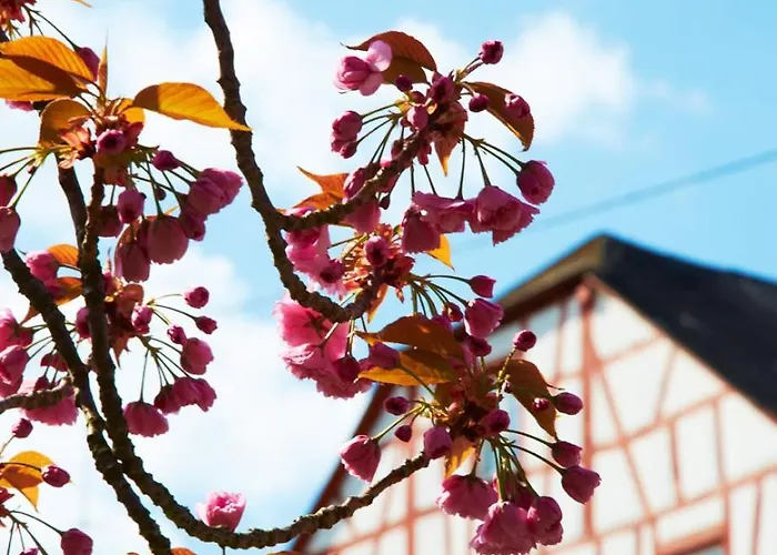 호텔 Reiler Hof 레일